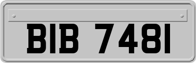 BIB7481