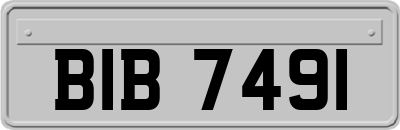BIB7491