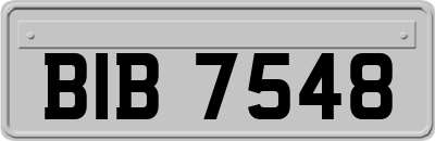 BIB7548