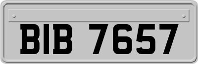 BIB7657