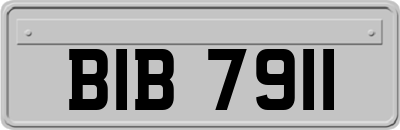 BIB7911