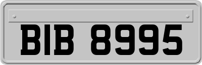 BIB8995