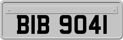 BIB9041