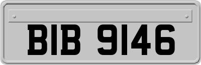 BIB9146