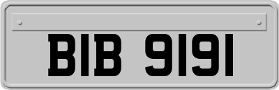 BIB9191