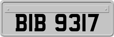 BIB9317