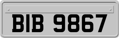 BIB9867