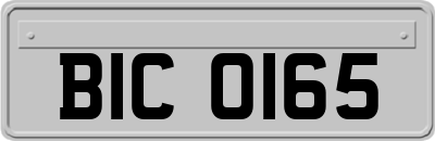BIC0165