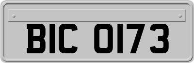 BIC0173
