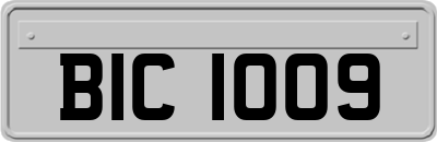 BIC1009