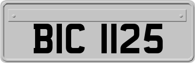 BIC1125