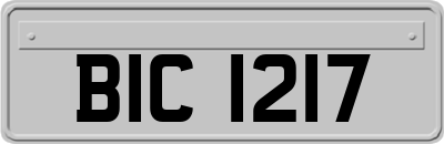 BIC1217