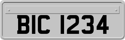 BIC1234