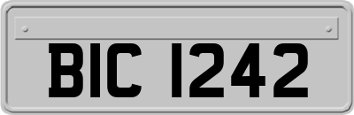 BIC1242