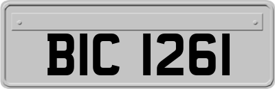 BIC1261