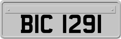 BIC1291