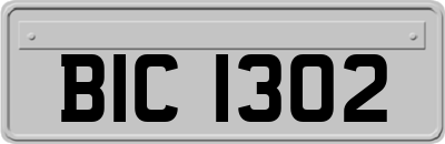 BIC1302
