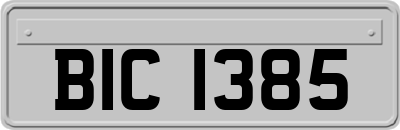 BIC1385