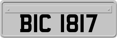 BIC1817