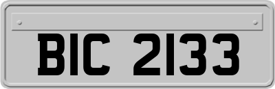 BIC2133