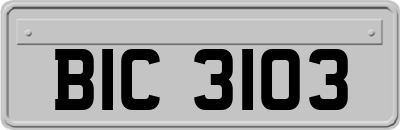 BIC3103