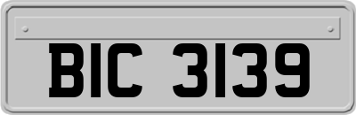 BIC3139