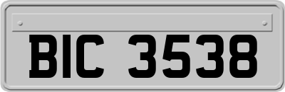 BIC3538