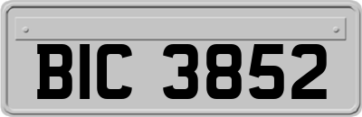 BIC3852