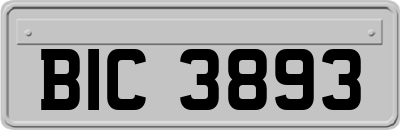 BIC3893