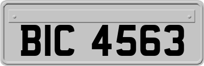 BIC4563