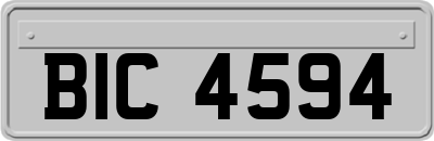 BIC4594