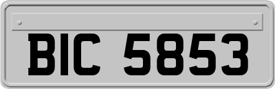 BIC5853