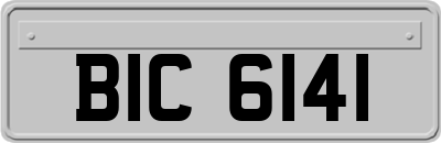 BIC6141