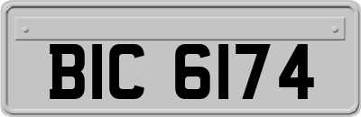BIC6174
