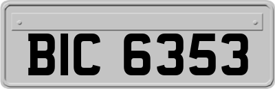 BIC6353