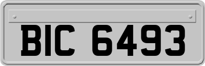 BIC6493