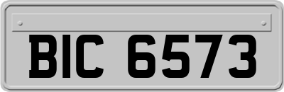 BIC6573