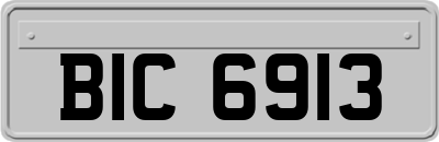 BIC6913