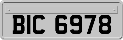 BIC6978
