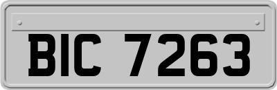 BIC7263