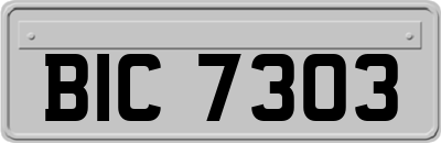 BIC7303