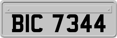 BIC7344
