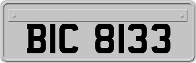 BIC8133