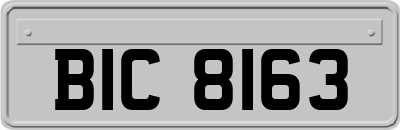 BIC8163