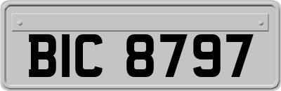 BIC8797