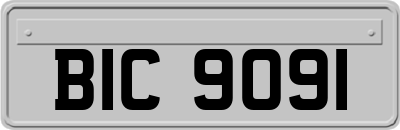 BIC9091