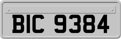 BIC9384