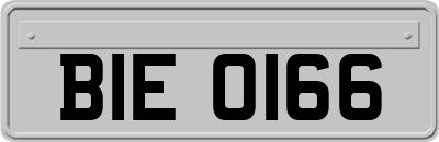 BIE0166