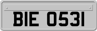 BIE0531