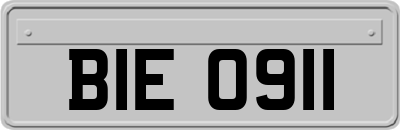 BIE0911